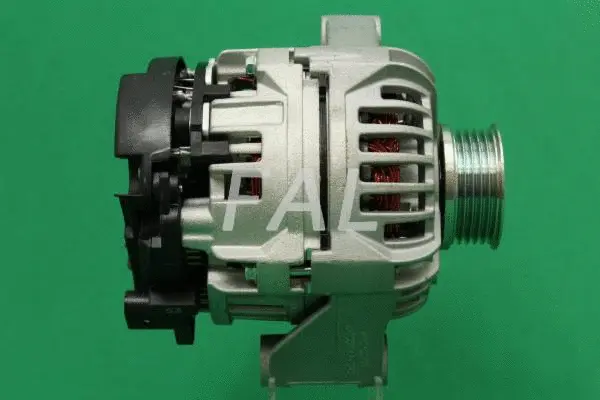Alternator (F000483/25)