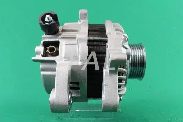 Alternator (F013984/25)