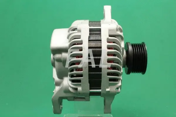 Alternator (F013900/25)