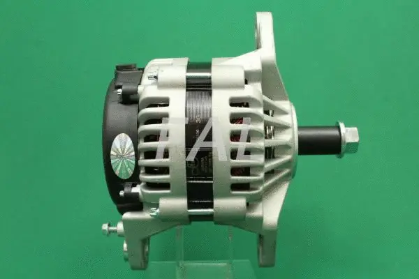 Alternator (F007001/25)
