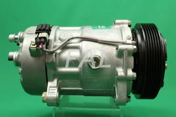 Compressor, air conditioning (F000875/1)
