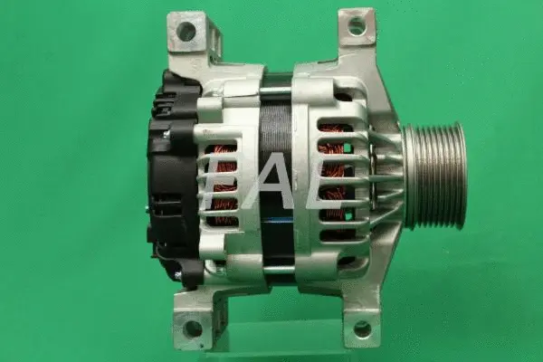 Alternator (F011928/30)