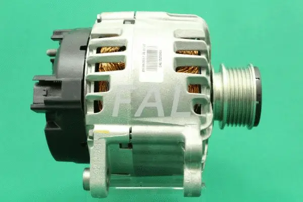 Alternator (F000513/1)