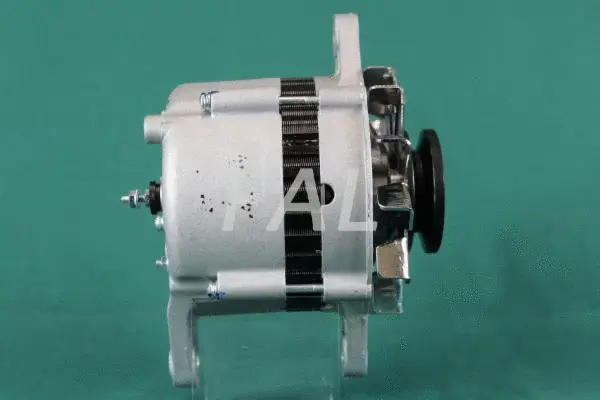 Alternator (F001678/25)