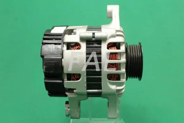 Alternator (F011024/1)