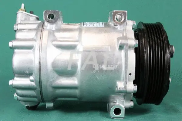 Compressor, air conditioning (F001983/2)