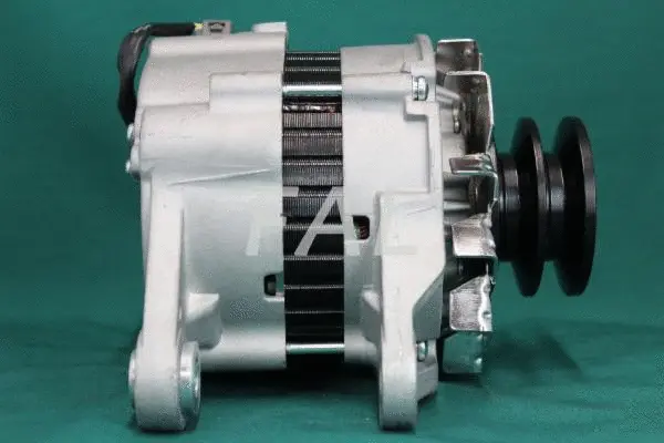 Alternator (F012166/25)