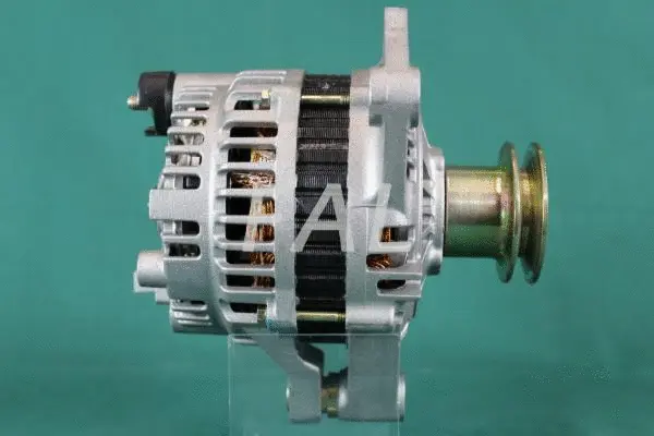 Alternator (F002770/11)