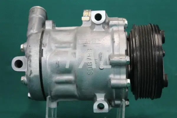 Compressor, air conditioning (F000881/1)