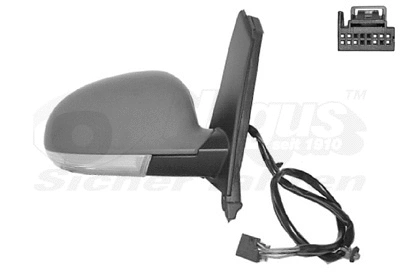 Exterior Mirror (5895818)