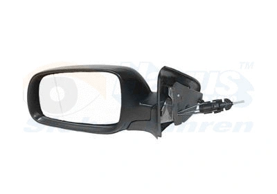 Exterior Mirror (4933803)