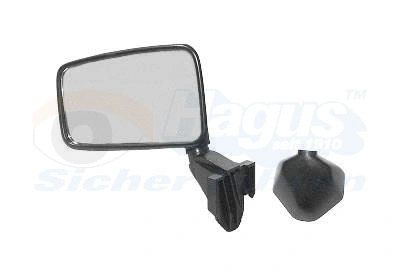 Exterior Mirror (4336801)
