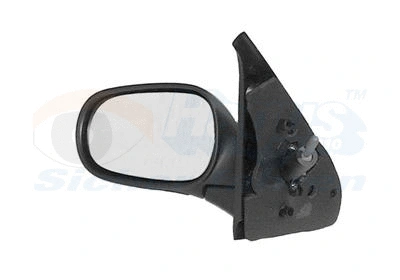 Exterior Mirror (4339814)
