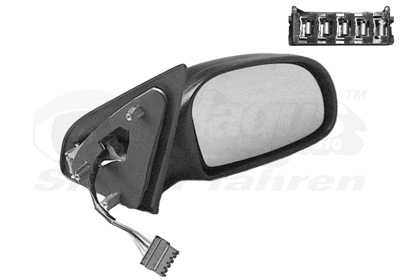 Exterior Mirror (0950818)