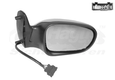 Exterior Mirror (1868818)