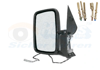 Exterior Mirror (5877807)