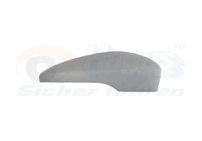 Cover, exterior mirror (5849844)