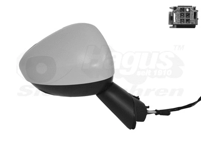 Exterior Mirror (0929808)