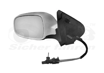 Exterior Mirror (5825803)