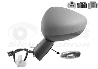 Exterior Mirror (0954817)