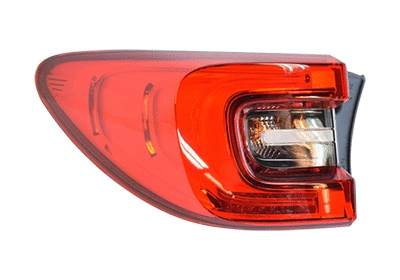 Tail Light Assembly (4424921)