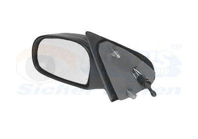Exterior Mirror (0950814)