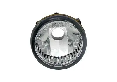 Front Fog Light (5466996)