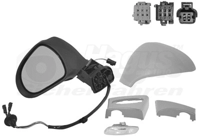 Exterior Mirror (4042817)