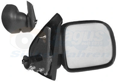 Exterior Mirror (4310804)