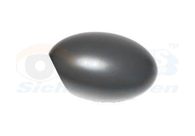 Cover, exterior mirror (0502841)