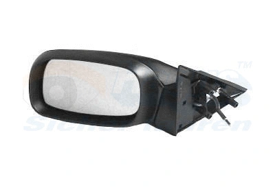 Exterior Mirror (3735803)