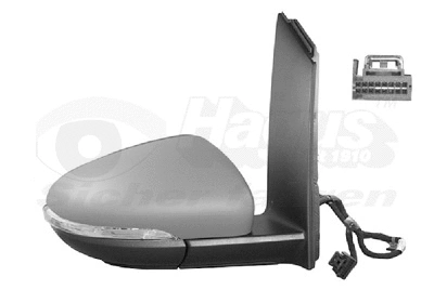 Exterior Mirror (5735818)
