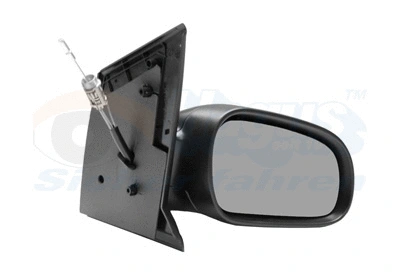 Exterior Mirror (5818804)