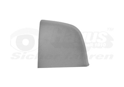 Cover, exterior mirror (1638843)