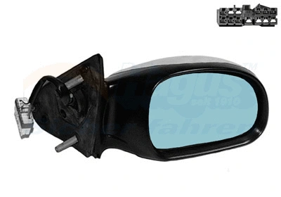 Exterior Mirror (4049808)