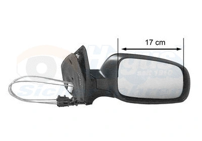 Exterior Mirror (5888812)
