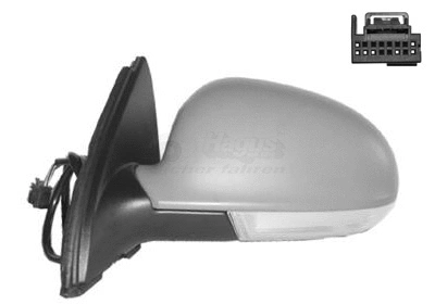 Exterior Mirror (5886817)