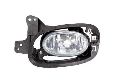 Front Fog Light (2559997)