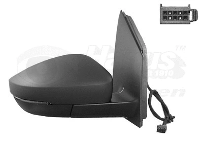 Exterior Mirror (5829808)