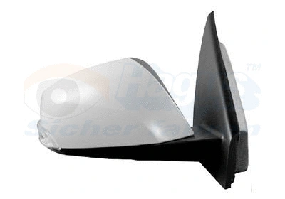 Exterior Mirror (4356808)