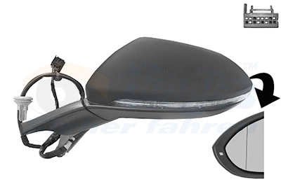 Exterior Mirror (5766805)