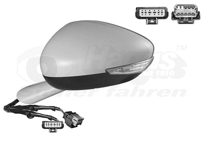 Exterior Mirror (4068817)