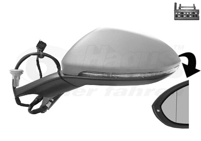 Exterior Mirror (5766807)