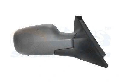 Exterior Mirror (4328807)