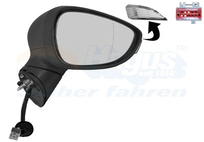 Exterior Mirror (1808808)