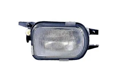 Front Fog Light (3032996)