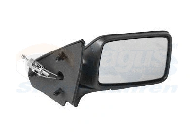 Exterior Mirror (4912804)