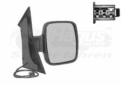 Exterior Mirror (3078808)