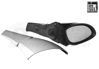 Exterior Mirror (3766808)