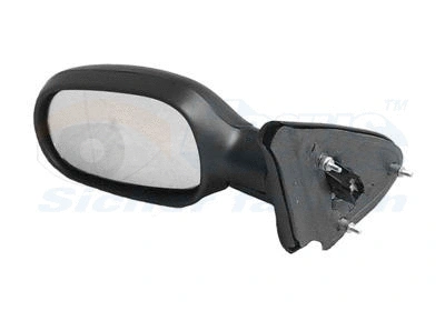 Exterior Mirror (4325807)